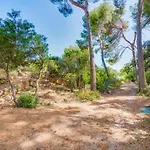 Ses Alzines Apartment - Costa De Los Pinos
