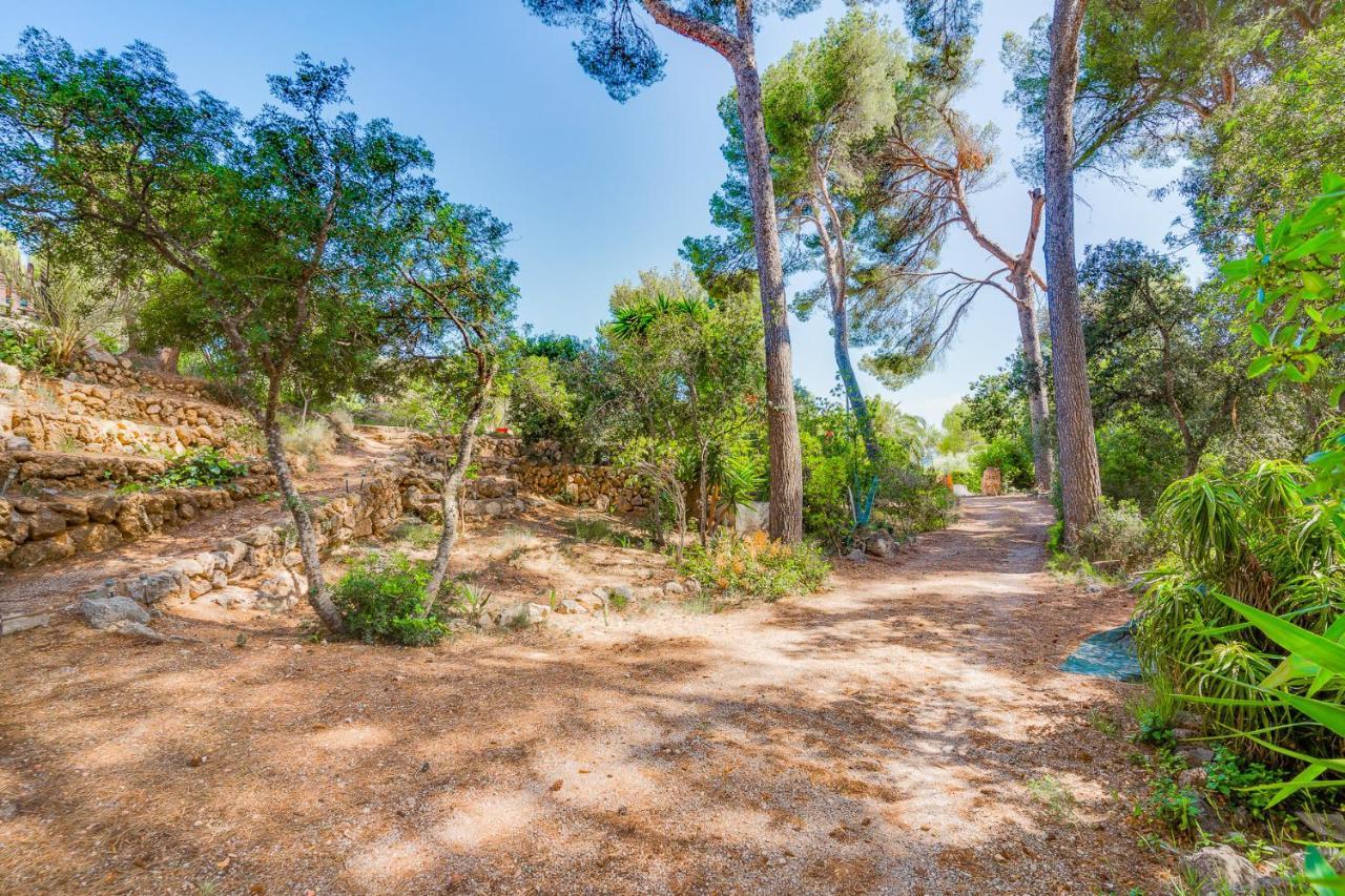 Ses Alzines - Costa De Pinos Appartement Costa De Los Pinos